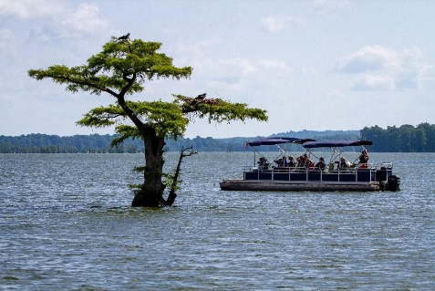 Our Favourite Types of Pontoon Boat Rentals Ontario